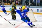 Дмитрий Гренц остается в «Торпедо»