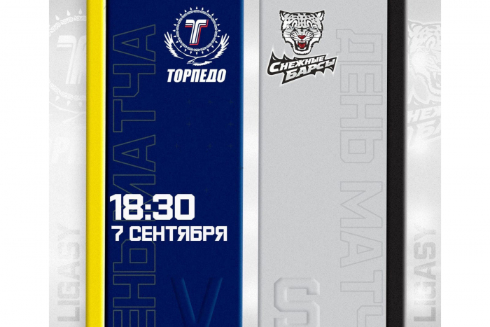 Прямая трансляция матча PRO Ligasy &quot;Торпедо&quot; - &quot;Снежные Барсы&quot;
